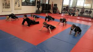 DragonFire Martial Arts  LLC