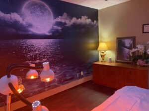 BioVisage Clinic – Dr. Niloufar Gorman DACM  L.Ac.