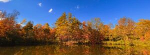 Camp Mount Luther