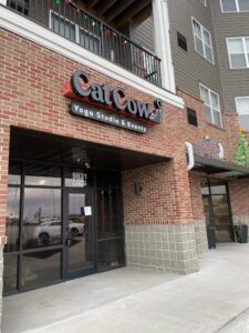 Cat Cow Yoga Studio & Events