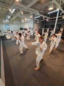 Central Martial Arts