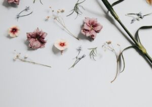 Crystal Counseling & Coaching Couples & Sex Therapy