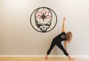Dark Star Yoga & Wellness