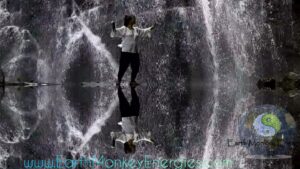 Earth Monkey Energies Tai Chi Qigong