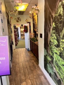 Enchanted Forest Reiki Center