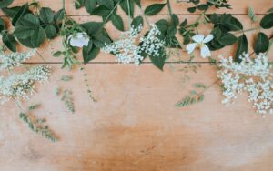 Healthy Life Transformations  Center for Natural Wellness  LLC