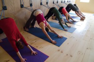 Iyengar Yoga Center of Vermont