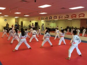 J.Tiger Martial Arts Taekwondo