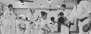 Rising Phoenix Martial Arts  LLC