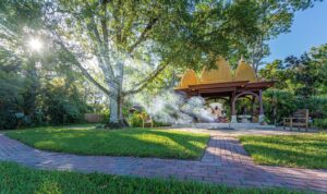 Sacred Kashi