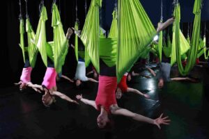 Shine Alternative Fitness