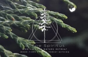 Silvae Spiritus Forest Bathing  Sauna  and Nature Retreats