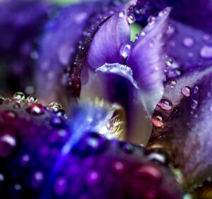 SpiritLightInsight Clairvoyant Readings by Debra