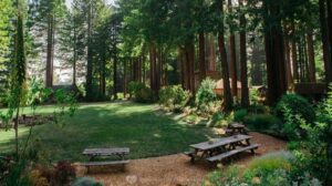 Spirit Camp Retreat Center  Venue Rentals & Retreats