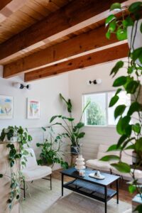 The Mend PDX • Acupuncture and Holistic Medicine