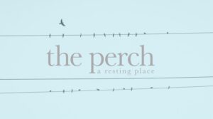 The Perch