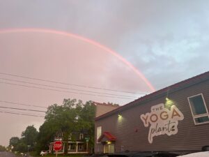 The Yoga Plant