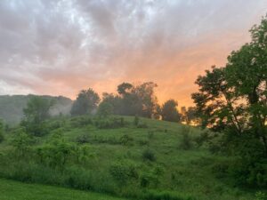 True Nature Holistic Retreats