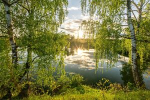 Vytality Integrative Medicine & Massage