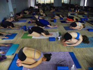Wild Light Yoga Center